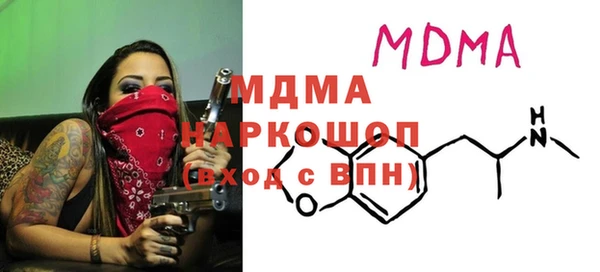 гашик Алексин