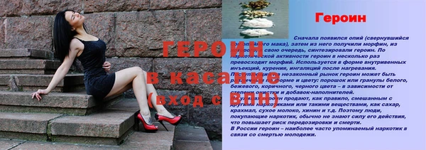 гашик Алексин