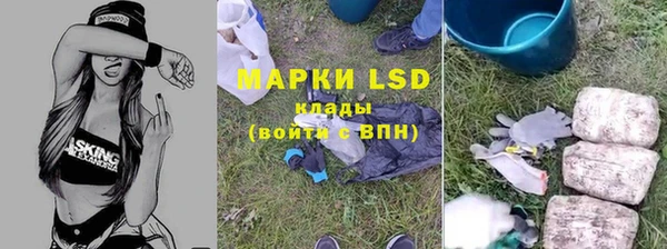 гашик Алексин