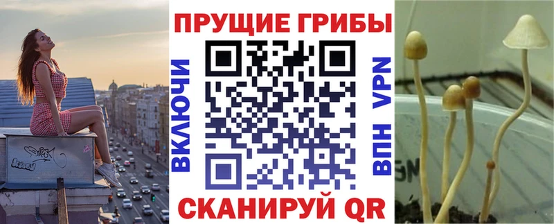 Галлюциногенные грибы GOLDEN TEACHER  Купить где  Сольцы 